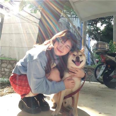 摩斯探长第四季